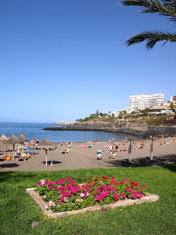 ����� ���� ����