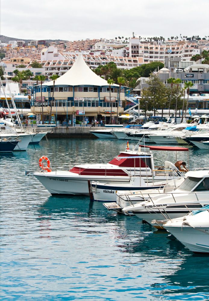 ������ �����