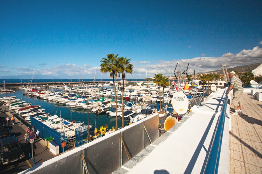 ������ �����