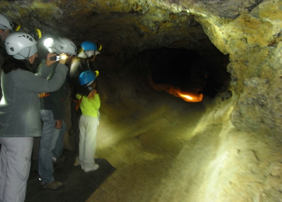 ������ ����� ���� ������