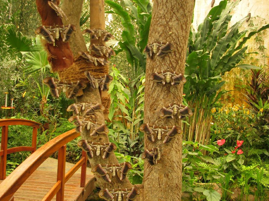 ����� ������� � ���� �� ��� �����