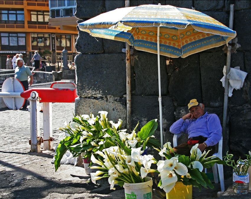 ������ �� �� ����