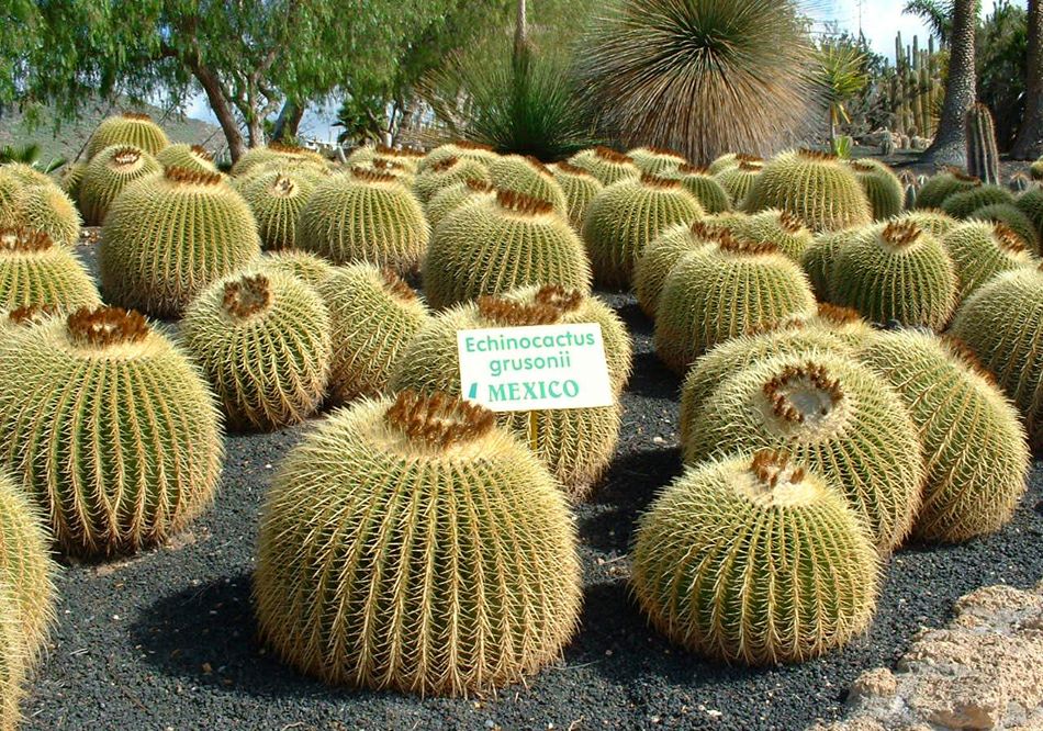 ������� � ����� &laquo;��������&raquo;