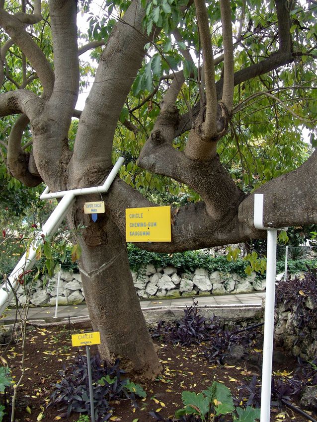 �������� &laquo;��� ������&raquo;