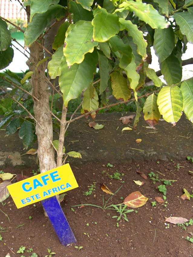 �������� &laquo;��� ������&raquo;