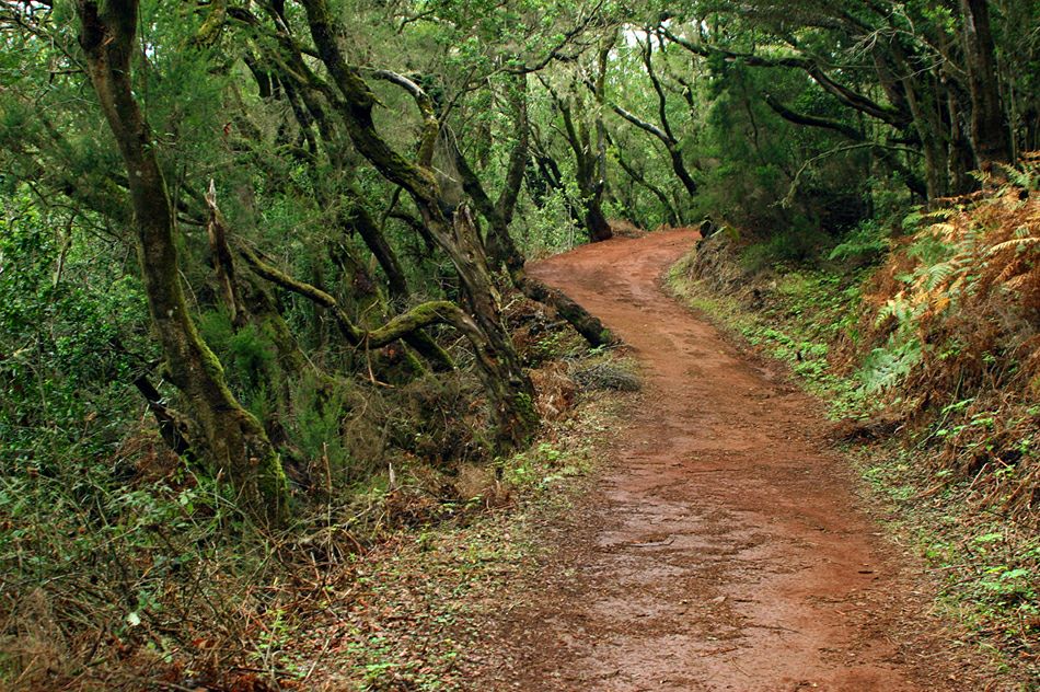 ������������ ���� ��������� �� ������� �� ������