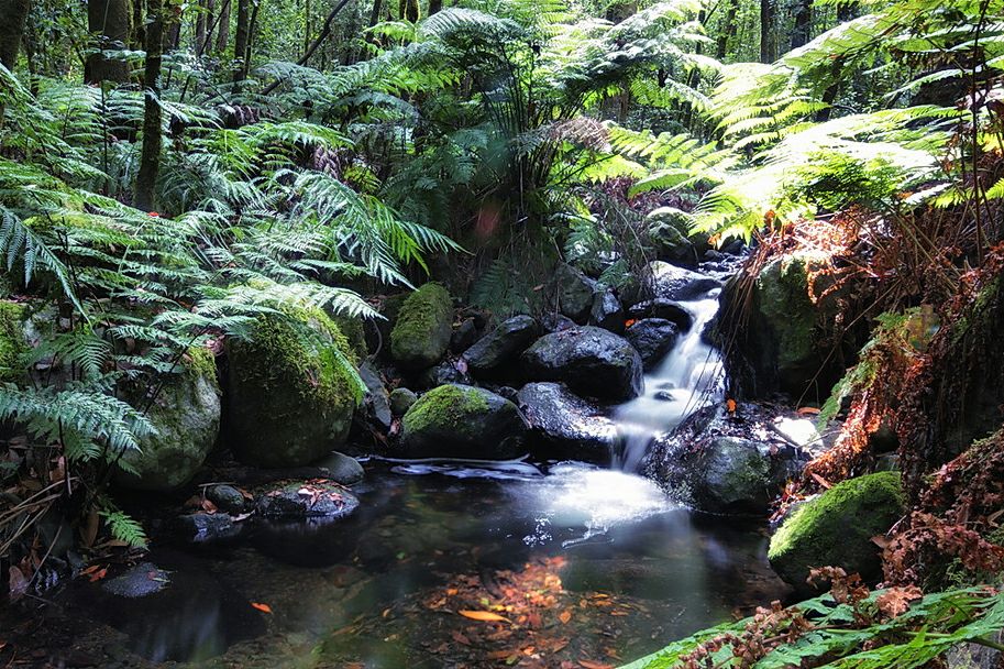 ����������� � ������������ ����� ���������