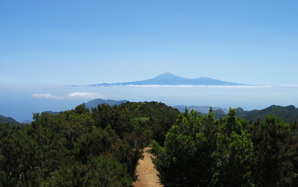 ��� �� �������� � ������� �� ������