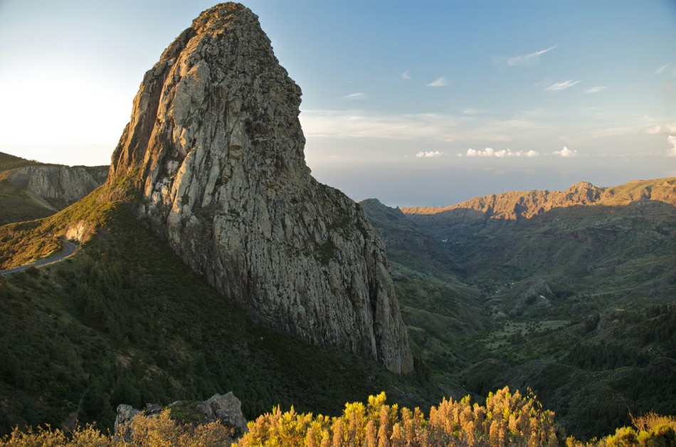 ����� ���� �� ������