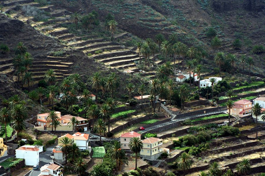 ����� ���� ���