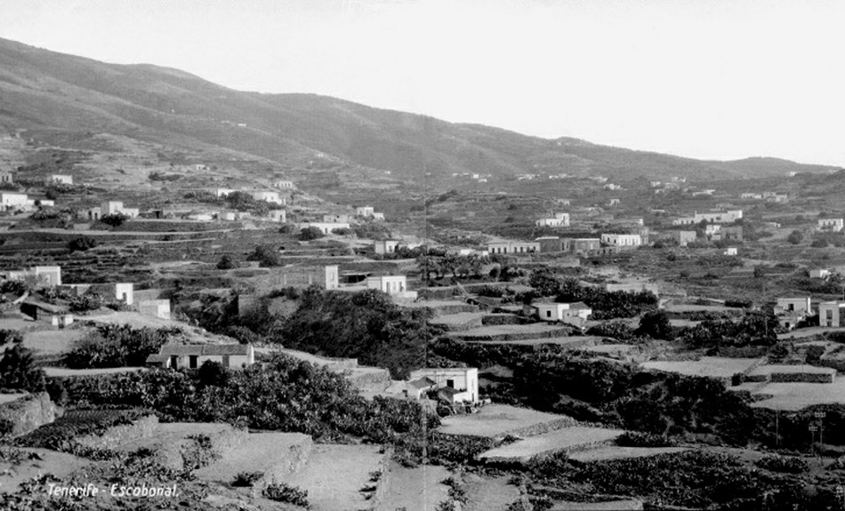 ��������������� �������