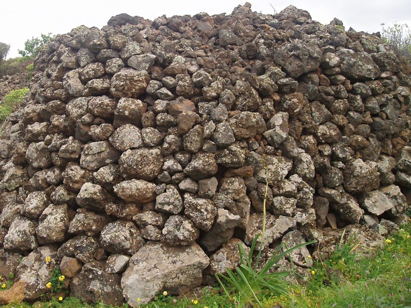 ����� ������