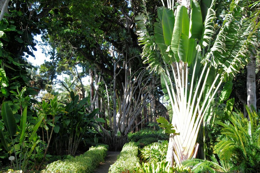 ������������ ���