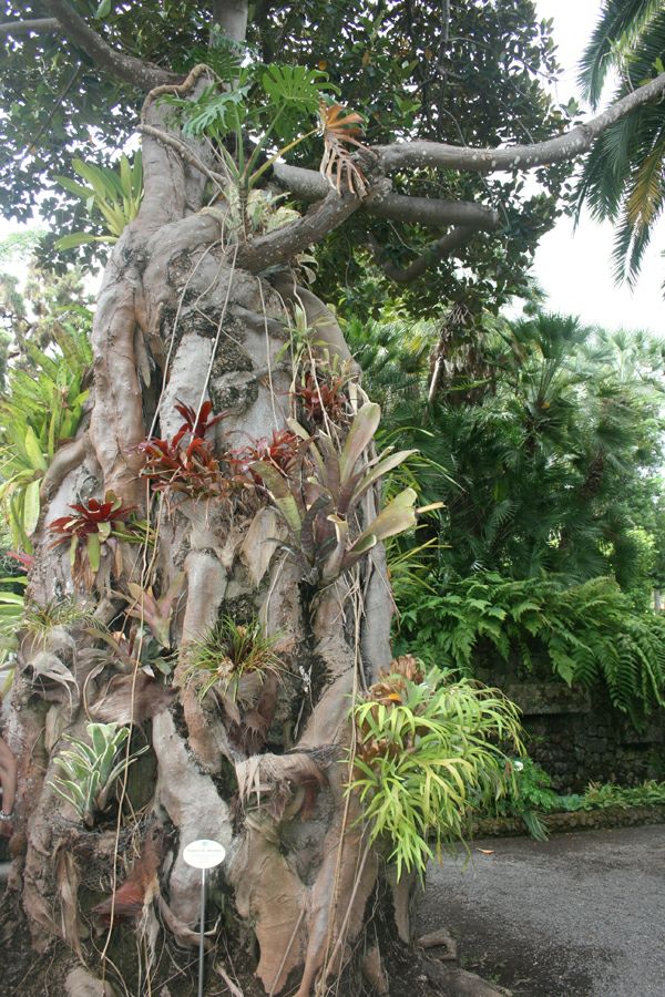 ������������ ���