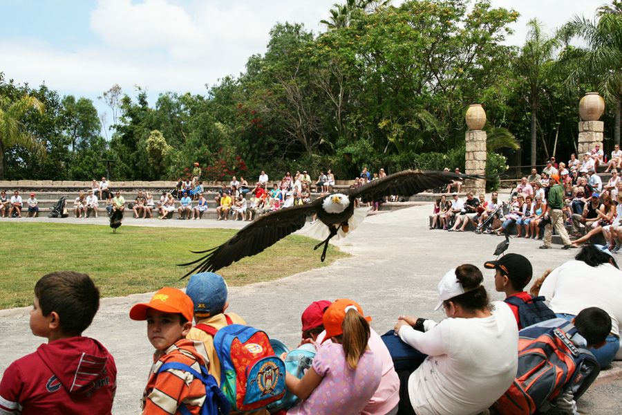 ���� �����