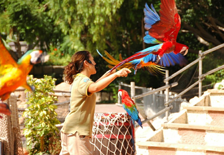 ���� �����