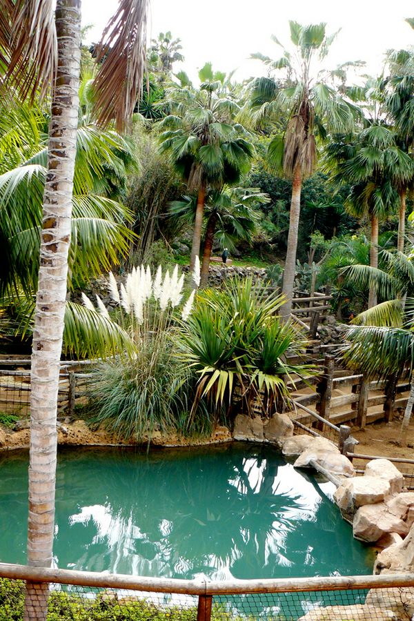 ���� �����