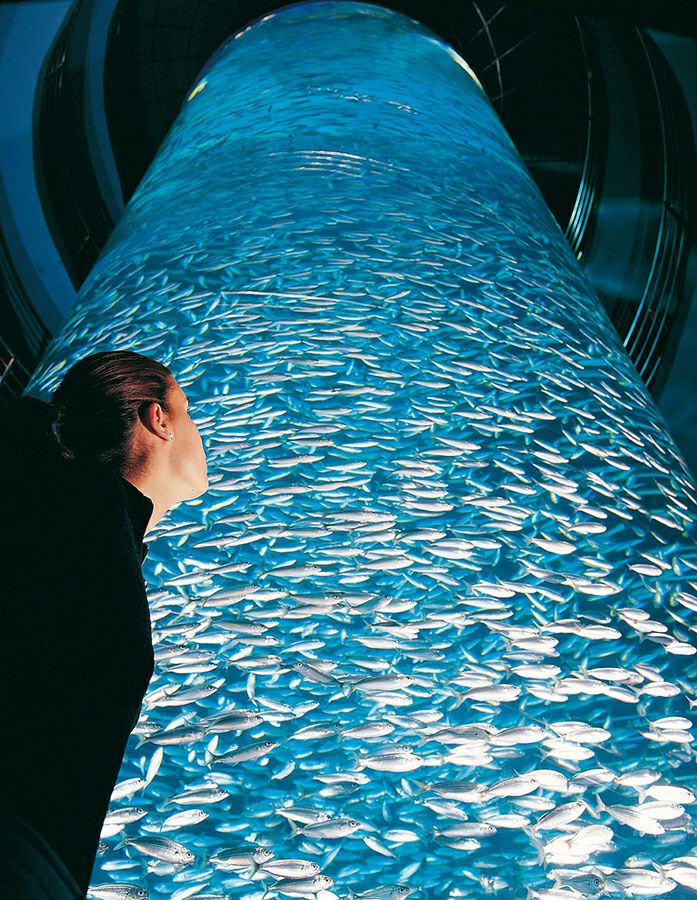 ���� ����: ������� � ������