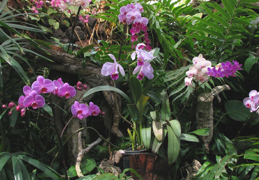 ���� ����: ��� �������