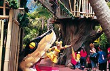 Лоро парк на Тенерифе