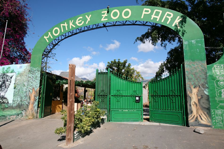 Манки парк на Тенерифе Манки парк на Тенерифе