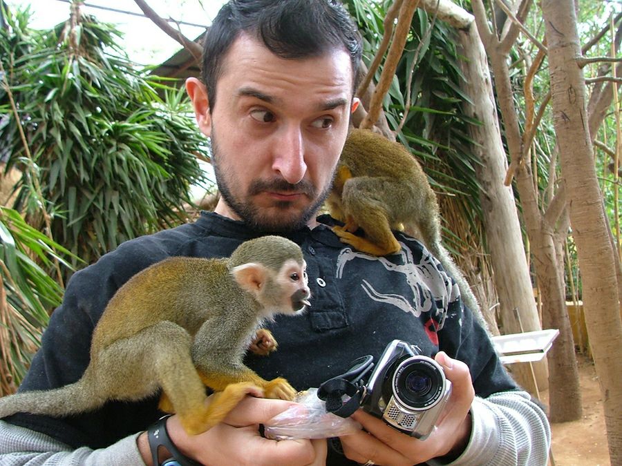 ����� ���� �� ��������