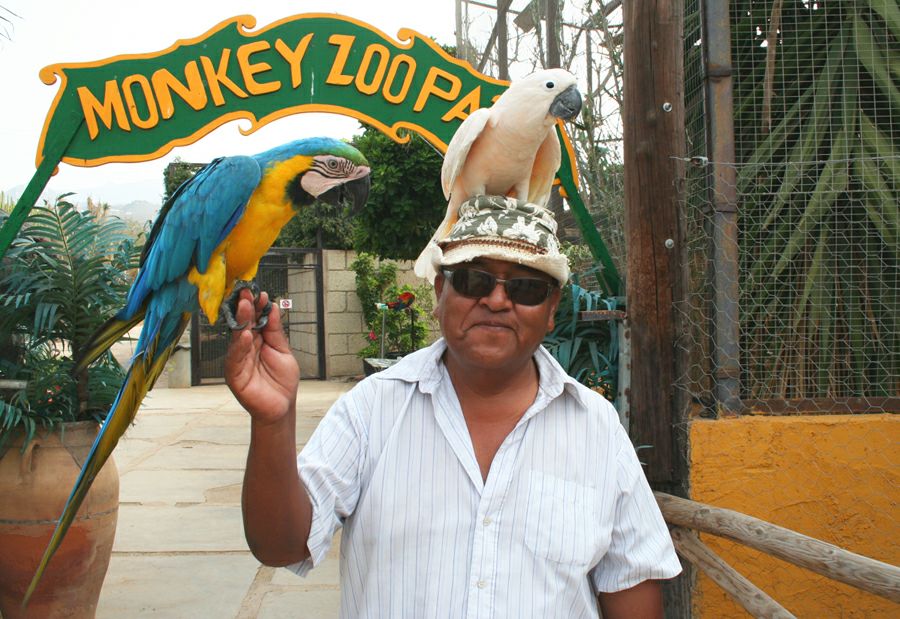 ����� ���� �� ��������