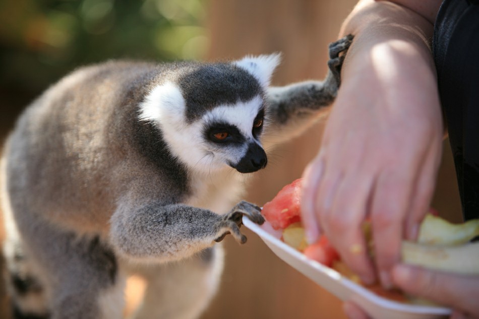 ����� � ����� �����