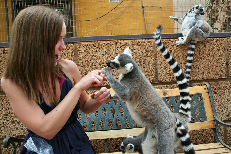 ������ � ����� �����