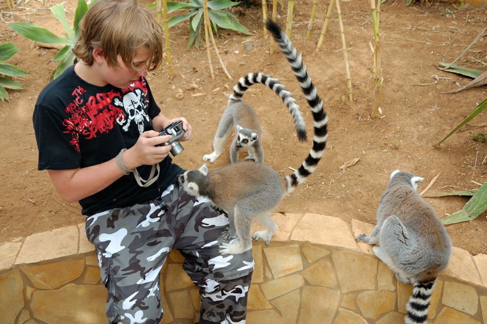 ������ � ����� �����