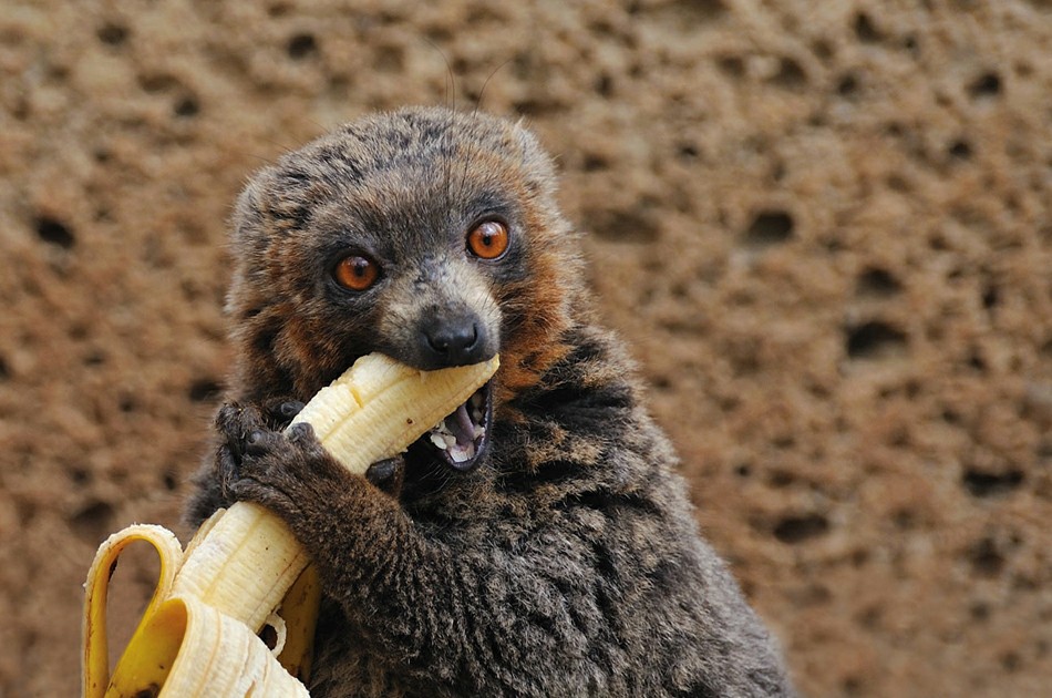 ����������� �����