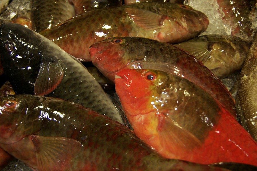 ������� �� ��������: ����� (����-�������)