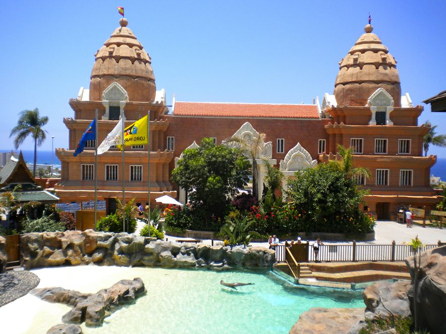 ����������� ���� � ����� ����, ��������