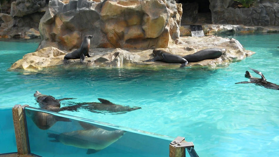 ������� ���� � ���� ����� �� ��������