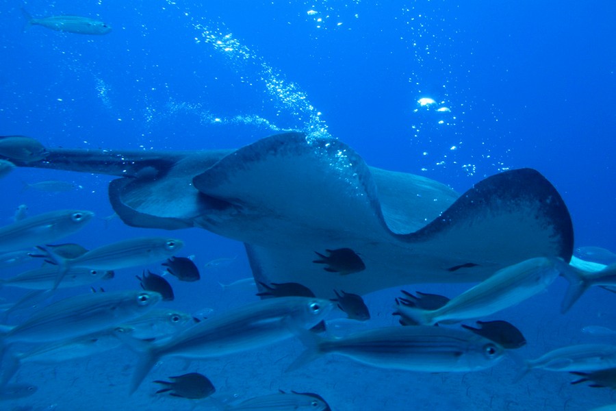 ��������� ����� �� ��������