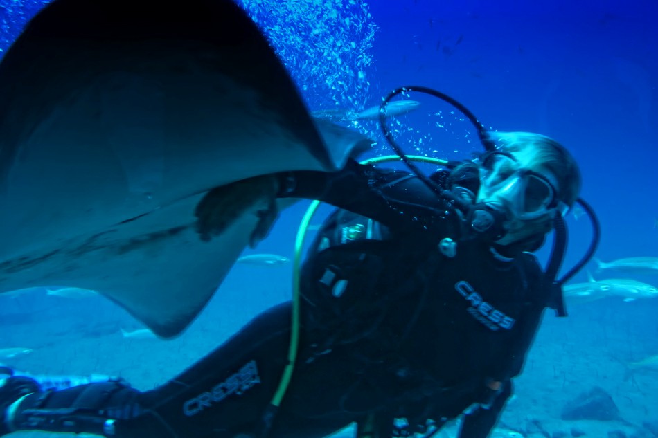 ��������� ����� �� ��������