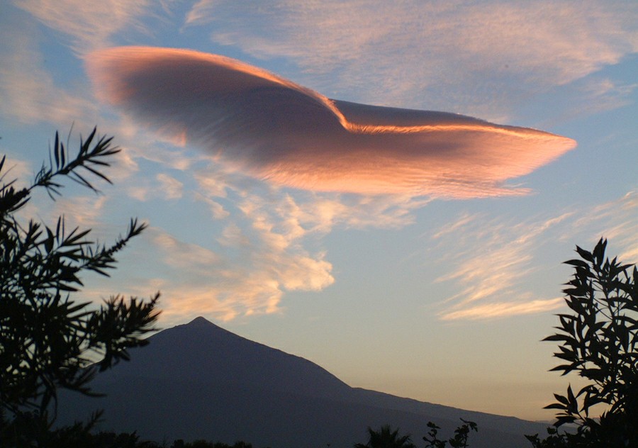 ������ ��� �����