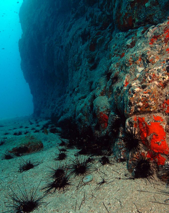 ������� ���