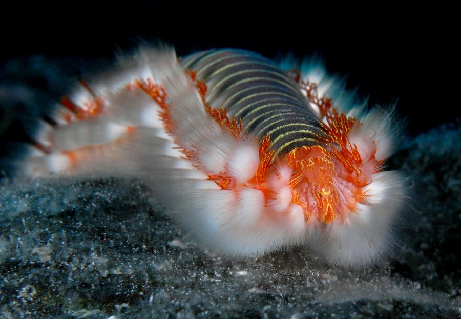 ��������� ������ �����