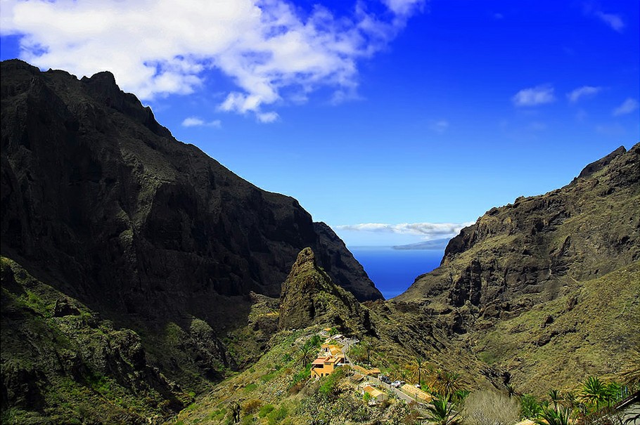 ���� ��������: ������ �����